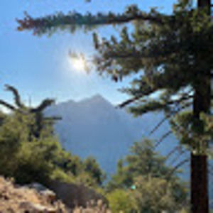 Meet your Posher, Jesse